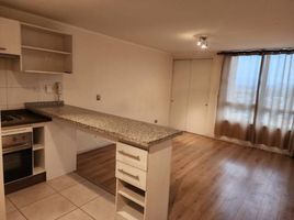 1 Habitación Apartamento en alquiler en Cordillera, Santiago, Puente Alto, Cordillera