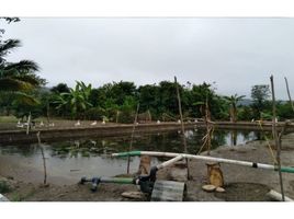  House for sale in San Vicente, Manabi, San Vicente, San Vicente