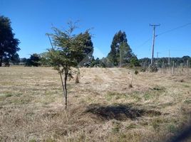  Terreno (Parcela) en venta en Araucanía, Villarrica, Cautín, Araucanía