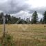  Terreno (Parcela) en venta en Araucanía, Villarrica, Cautín, Araucanía