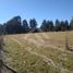  Terreno (Parcela) en venta en Araucanía, Villarrica, Cautín, Araucanía