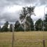  Terreno (Parcela) en venta en Araucanía, Villarrica, Cautín, Araucanía