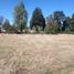  Terreno (Parcela) en venta en Araucanía, Villarrica, Cautín, Araucanía