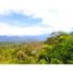  Land for sale in Fredonia, Antioquia, Fredonia