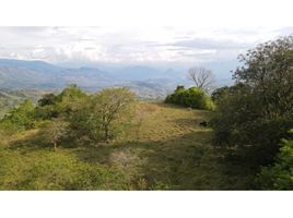  Land for sale in Fredonia, Antioquia, Fredonia