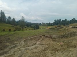 Terrain à vendre à Retiro, Antioquia, Retiro