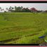  Land for sale in Selemadeg, Tabanan, Selemadeg