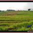  Land for sale in Selemadeg, Tabanan, Selemadeg