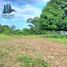  Land for sale in La Concepcion, Chiriqui, La Concepcion