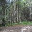  Land for sale in Chignahuapan, Puebla, Chignahuapan