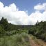  Land for sale in Chignahuapan, Puebla, Chignahuapan