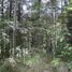  Land for sale in Chignahuapan, Puebla, Chignahuapan