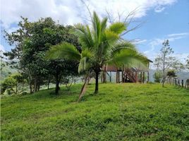 Studio Villa for sale in Panama, Canita, Chepo, Panama, Panama