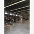2,690 m² Office for rent in Coahuila, Torreon, Coahuila