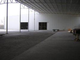 2,690 m² Office for rent in Coahuila, Torreon, Coahuila