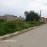  Grundstück zu verkaufen in Zinacatepec, Mexico, Zinacatepec