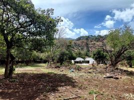  Grundstück zu verkaufen in Tepoztlan, Morelos, Tepoztlan, Morelos