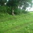  Land for sale in Selemadeg, Tabanan, Selemadeg