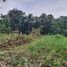  Land for sale in Bantul, Yogyakarta, Kasihan, Bantul