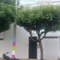1,076 Sqft Office for rent in Norte De Santander, San Jose De Cucuta, Norte De Santander