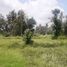  Land for sale in Tampak Siring, Gianyar, Tampak Siring