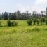  Land for sale in Tampak Siring, Gianyar, Tampak Siring