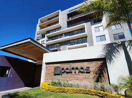 3 chambre Appartement for rent in Michoacan, Morelia, Michoacan