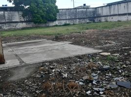 Terrain à vendre à Guayaquil, Guayas, Guayaquil, Guayaquil
