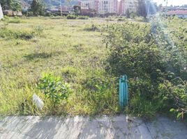  Terreno (Parcela) en venta en El Carmen De Viboral, Antioquia, El Carmen De Viboral