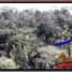  Terrain for sale in Tegallalang, Gianyar, Tegallalang