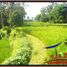  Terrain for sale in Tegallalang, Gianyar, Tegallalang