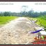  Terrain for sale in Tegallalang, Gianyar, Tegallalang