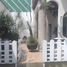 Villa 3 chambre à vendre à Huitzilac, Morelos, Huitzilac