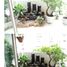 3 Bedroom House for rent in Thao Dien, Ho Chi Minh City, Thao Dien, District 2, Ho Chi Minh City