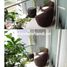3 Bedroom House for rent in Thao Dien, Ho Chi Minh City, Thao Dien, District 2, Ho Chi Minh City