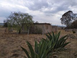  Grundstück zu verkaufen in Jilotepec, Mexico, Jilotepec