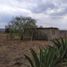  Grundstück zu verkaufen in Jilotepec, Mexico, Jilotepec