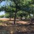  Land for sale in Cuatrocienegas, Coahuila, Cuatrocienegas