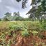  Terrain for sale in Bajo Boquete, Boquete, Bajo Boquete