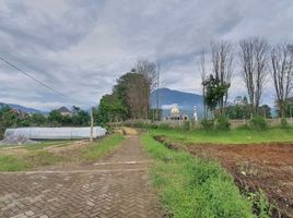  Land for sale in Bumiaji, Malang Regency, Bumiaji