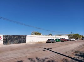 在Baja California Sur出租的 土地, La Paz, Baja California Sur