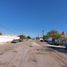在Baja California Sur出租的 土地, La Paz, Baja California Sur