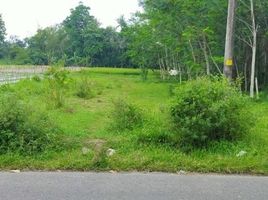 Terreno (Parcela) en venta en Sleman, Yogyakarta, Sleman, Sleman, Yogyakarta