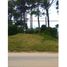  Land for sale in Villa Gesell, Buenos Aires, Villa Gesell