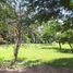  Land for sale in Comonfort, Guanajuato, Comonfort