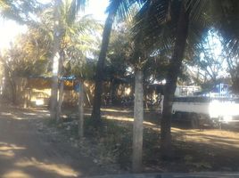  Grundstück zu vermieten in Minglanilla, Central Visayas, Minglanilla