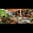 Maison 3 chambre à vendre à Cuernavaca, Morelos, Cuernavaca