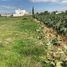  Grundstück zu verkaufen in San Gregorio Atzompa, Puebla, San Gregorio Atzompa