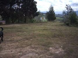  Terreno (Parcela) en venta en Puerto Salgar, Cundinamarca, Puerto Salgar