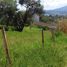 Terrain à vendre à Tlajomulco De Zuniga, Jalisco, Tlajomulco De Zuniga